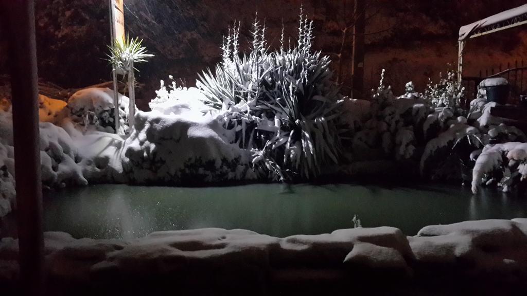 Alesta Butik Otel Ağva Zewnętrze zdjęcie